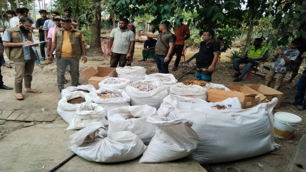 গোয়ালঘর থেকে উদ্ধার ১০ লাখ শলাকা সন্দেহভাজন নকল ডার্বি সিগারেট