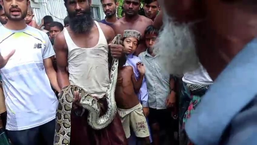 কুড়িগ্রামে ১০ ফিট লম্বা  অজগর সাপ উদ্ধার