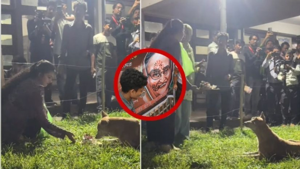 কেক কেটে কুকুরকে খাওয়ানোর মাধ্যমে পালিত হয় শেখ হাসিনার জন্মদিন