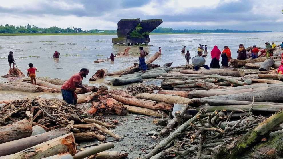 কুড়িগ্রামে বিভিন্ন নদ-নদীতে ভারতীয় গাছের গুড়ি  কালজানি নদীতে ভেসে আসা কাঠ তুলতে গিয়ে নিখোঁজ ধান ব্যবসায়ী