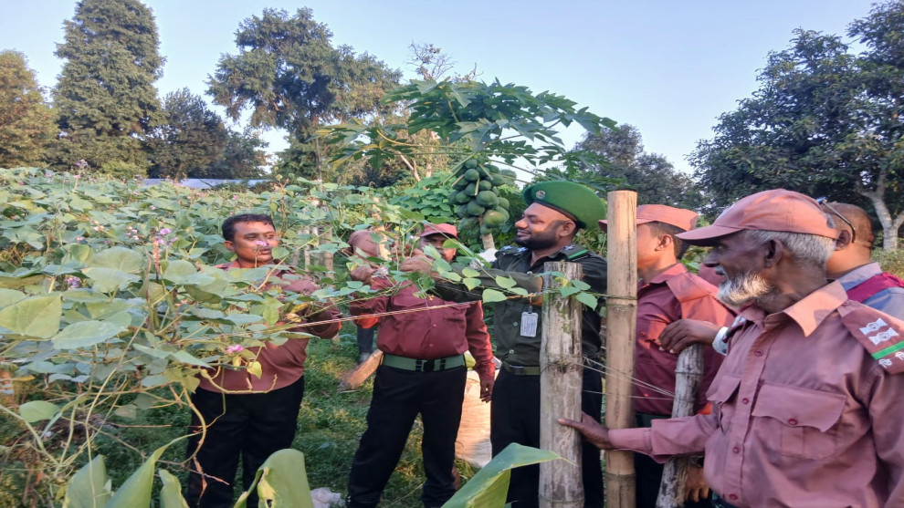 খাগড়াছড়ি জেলার গুইমারা উপজেলায় শিম চাষ করে আর্থিক স্বনির্ভরতার দৃষ্টান্ত স্থাপন