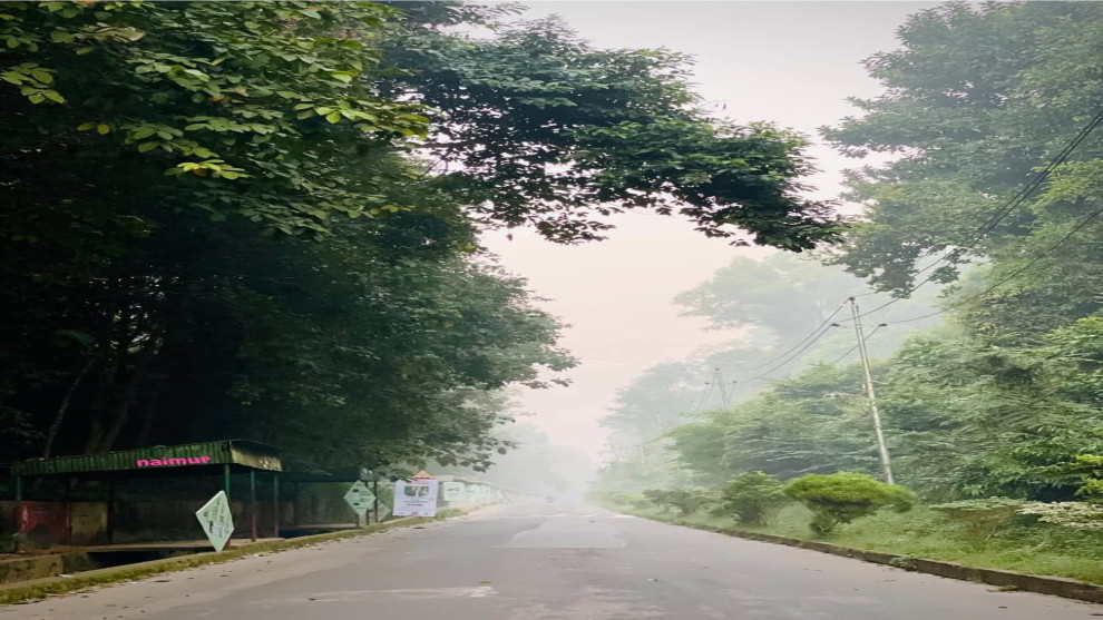 চট্টগ্রাম বিশ্ববিদ্যালয়ে শীতের আগমন: পাহাড়ঘেরা সবুজ ক্যাম্পাসে অন্যরকম রূপ