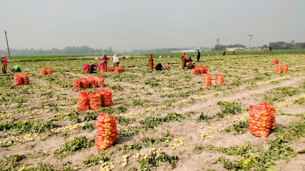 ভোট দেই, সরকার বদলায়—তবুও বদলায় না কৃষকের ভাগ্য