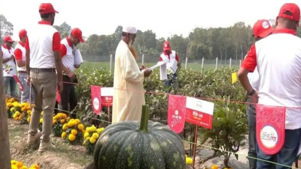 যশোরে ২৬ ফসলের ১২৯ জাত উচ্চ ফলনশীল সবজি ‘ক্রপ-শো’