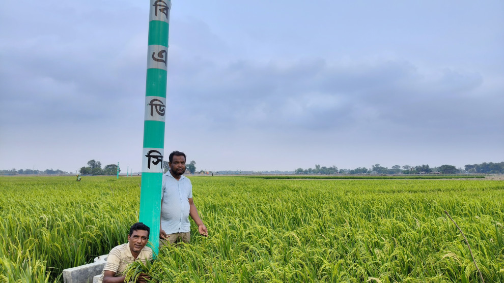 সেচ সুবিধায় বদলে যাচ্ছ,শ্যামনগর উপজেলা বোরো ধান চাষে কৃষকদের নতুন স্বপ্ন