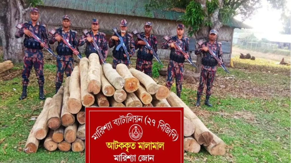 বিজিবির অভিযানে বিপুল পরিমাণ অবৈধ সেগুন কাঠ জব্দ