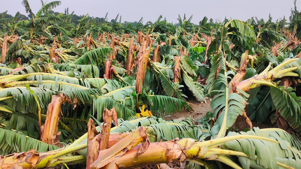 চুয়াডাঙ্গায় আইন সহায়তা দিবস পালিত হয়েছে