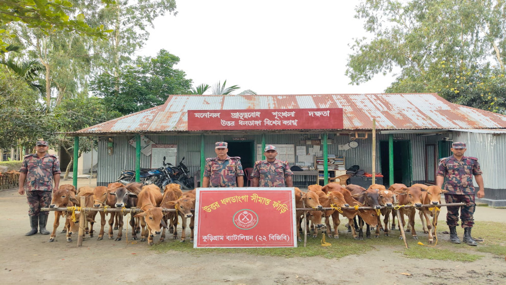 বিজিবির অভিযানে ২৪ লাখ টাকার ভারতীয় পণ্য আটক