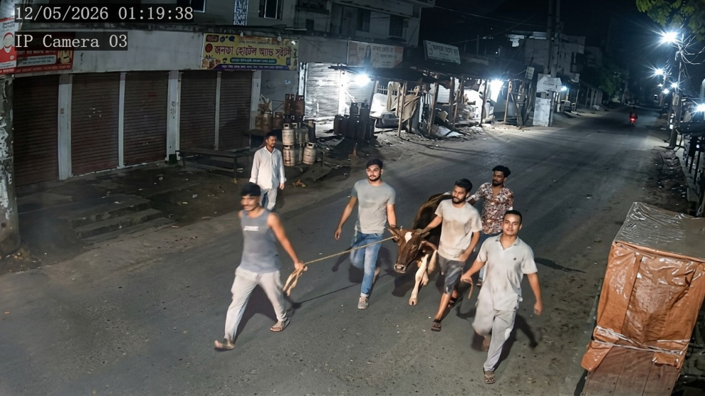 রাতে চুরির ৮ ঘণ্টার মধ্যেই গরু উদ্ধার, সকালে মিমাংসা করলেন বাদী-বিবাদী