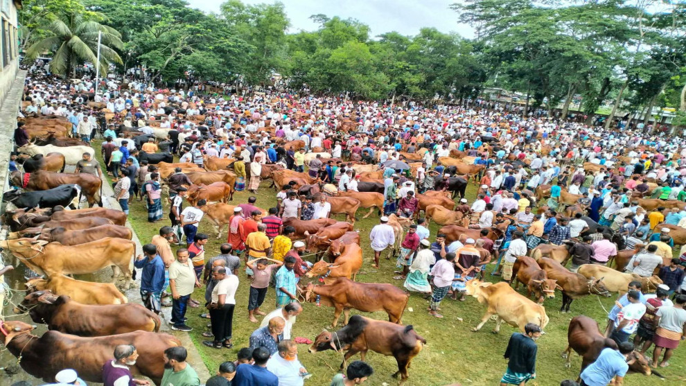 কোরবানির জন্য প্রস্তুত প্রায় দেড় লাখ পশু