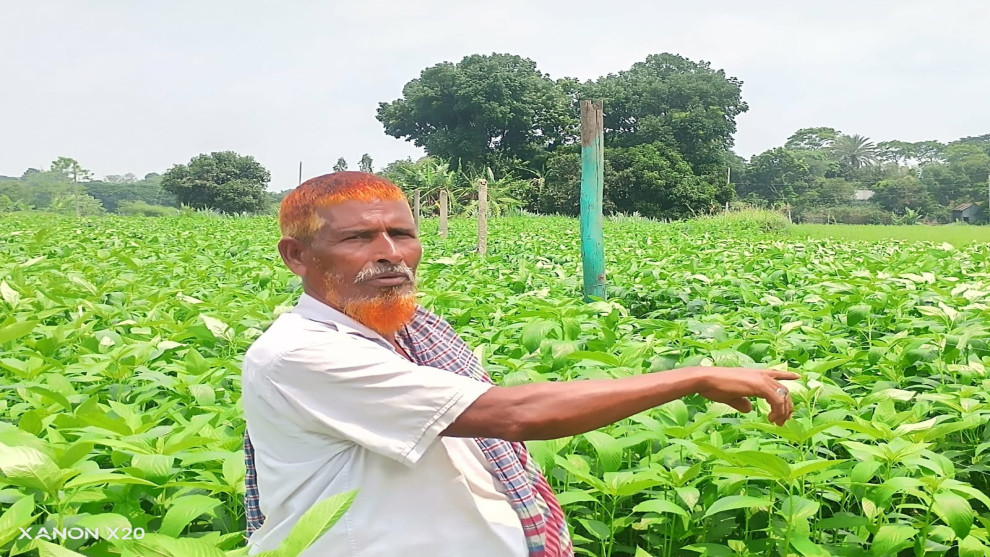 বাবার বিক্রি করা জমি ছেলেদের দখলের চেষ্টা
