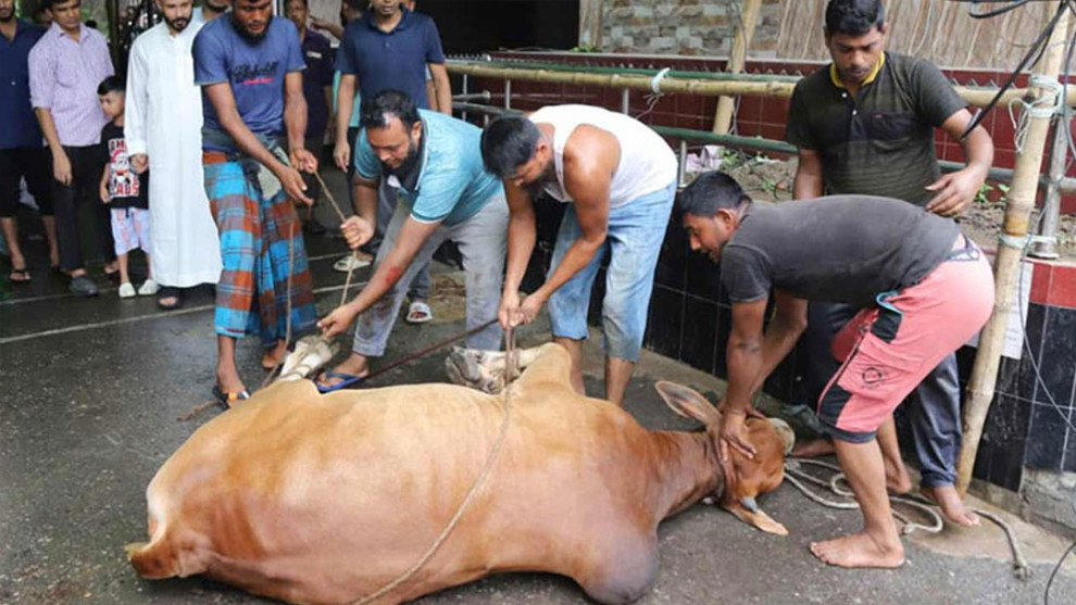 ঈদুল আজহার দ্বিতীয় দিনেও চলছে কোরবানির পশু জবাই