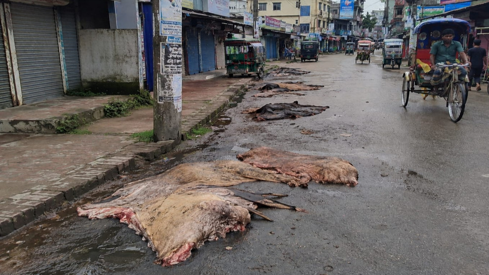 কোরবানি তিন দিন পার হলেও অপসারণ করা হয়নি কোরবানির বর্জ্য