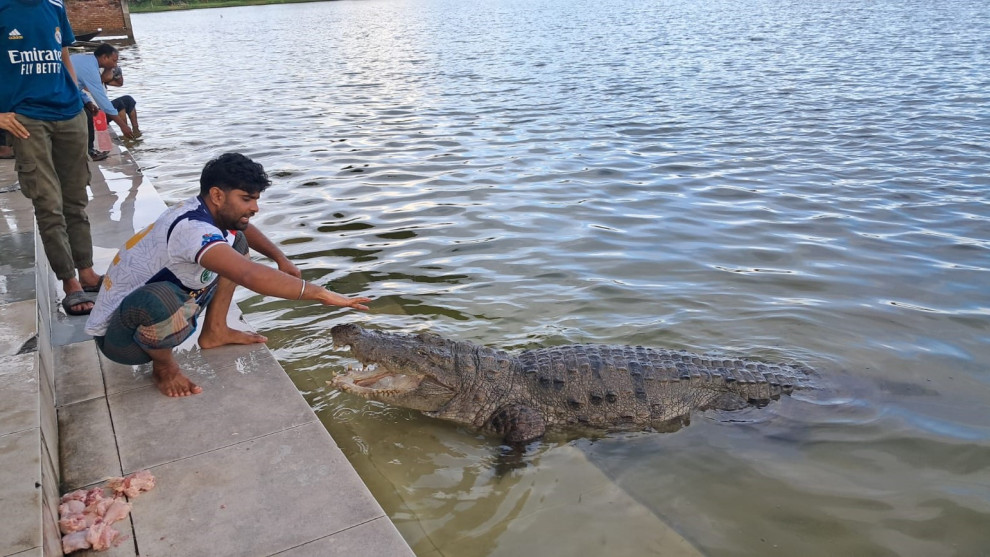 খানজাহাব আলী দিঘির ঘাটে নেমেই বিপত্তি, শিশুকে টেনে নিলো কুমির, উদ্ধার অভিযান অব্যাহত
