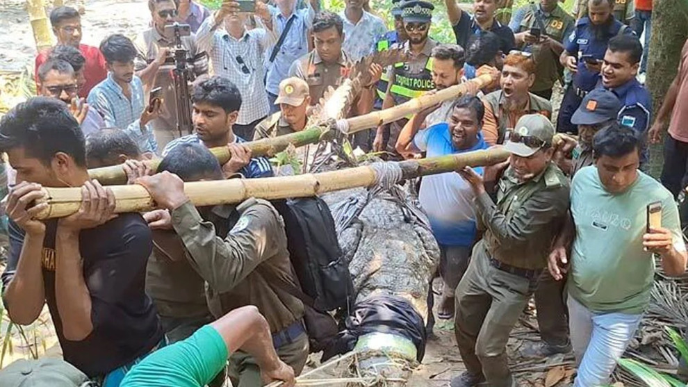 খান জাহান আলী মাজারের দিঘি থেকে সরিয়ে নেওয়া হলো কুমির