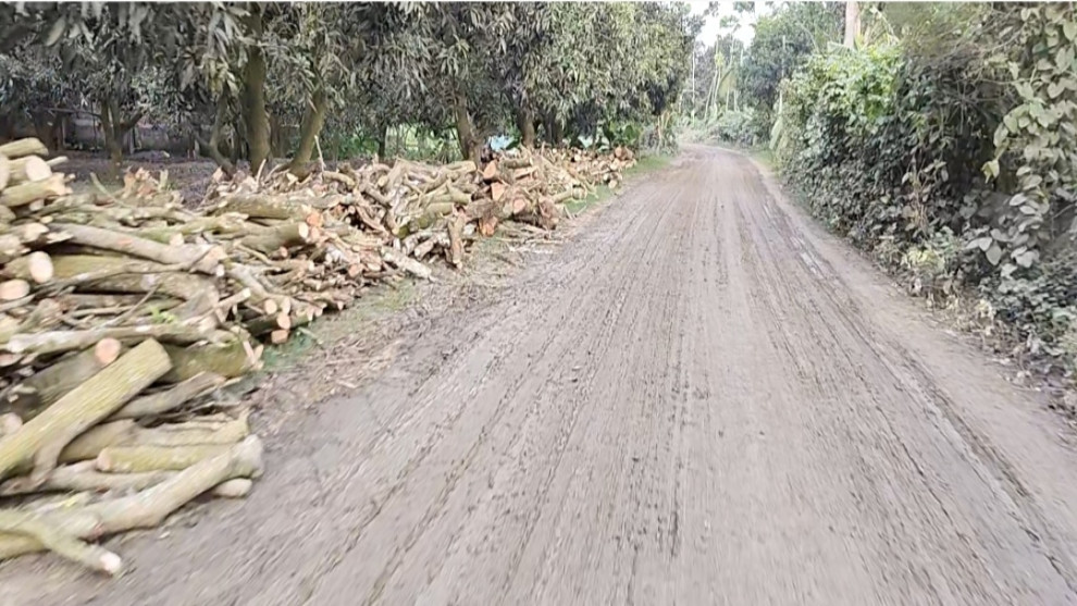 উলাশী খাল খননের মাটি বহনে রাস্তা ধ্বংসস্তূপে পরিণত, হাজারো পথচারীর জীবন ঝুঁকিতে চলাচল
