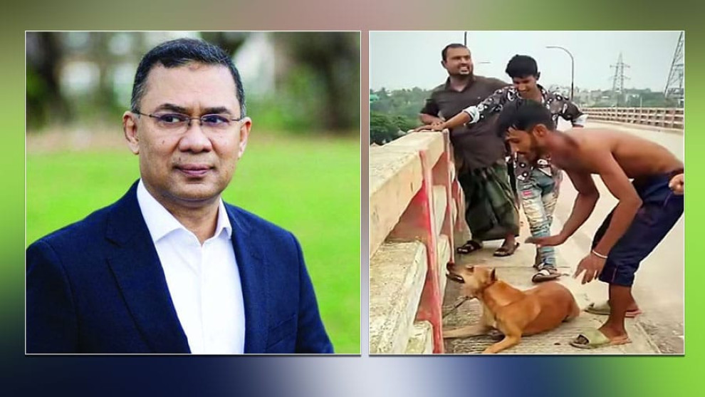 পশুর প্রতি নিষ্ঠুরতার সেই ভিডিও প্রধানমন্ত্রীর নজরে, ব্যবস্থা নেওয়ার নির্দেশ