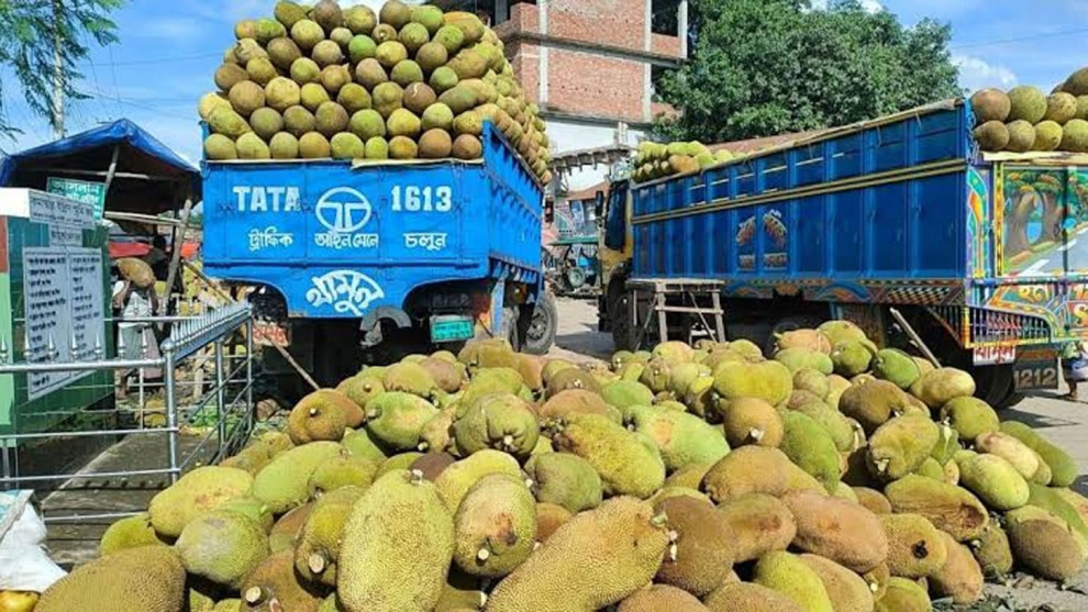 বাংলাদেশ থেকে কাঁঠাল নিতে চায় চীন