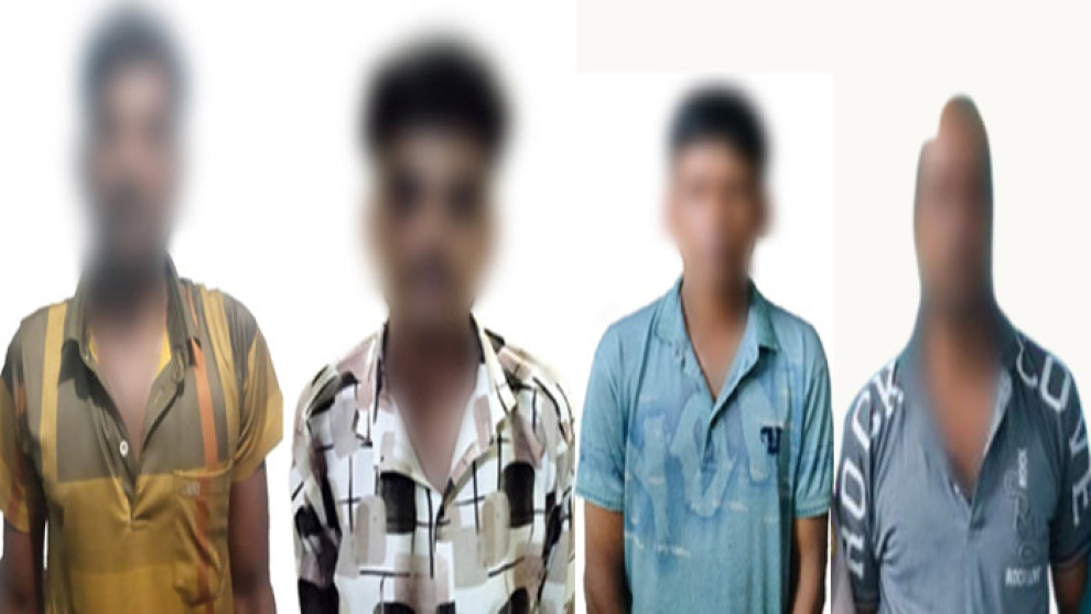 রাজশাহী মহানগরীতে গাঁজার গাছসহ গ্রেপ্তার ৪ মাদক কারবারি