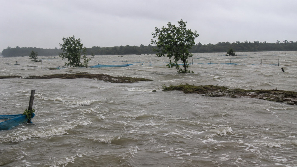 টানা বর্ষণে বাগেরহাটে ৭ হাজারের বেশি মাছের ঘের তলিয়ে বিপর্যয়, শত কোটি টাকার ক্ষতির আশঙ্কা