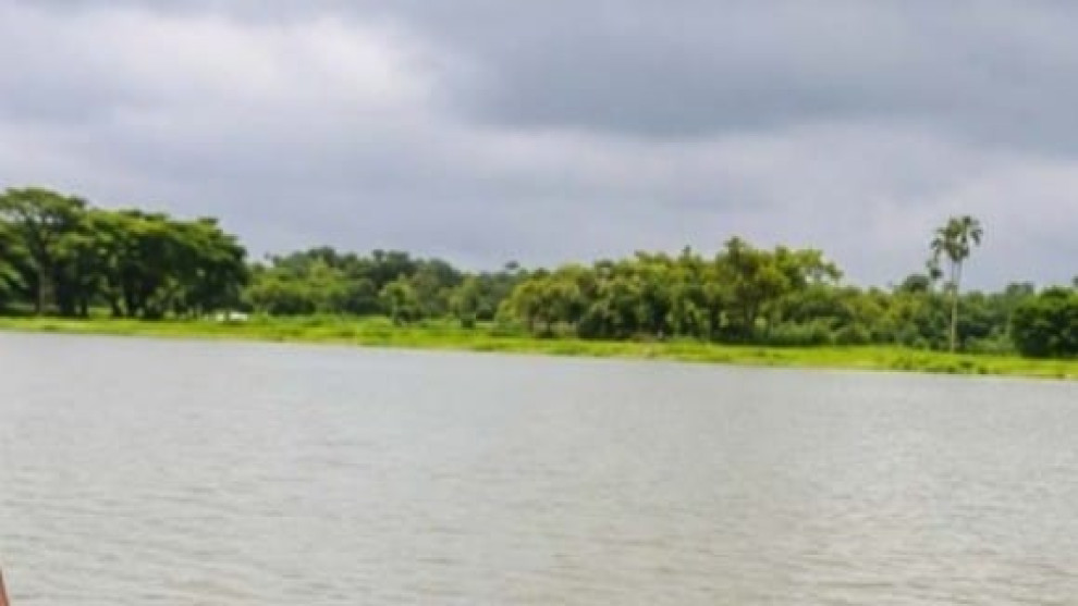 হরিহরনগর বাওড় দখল, মাছ লুট ও প্রাণনাশ হুমকি