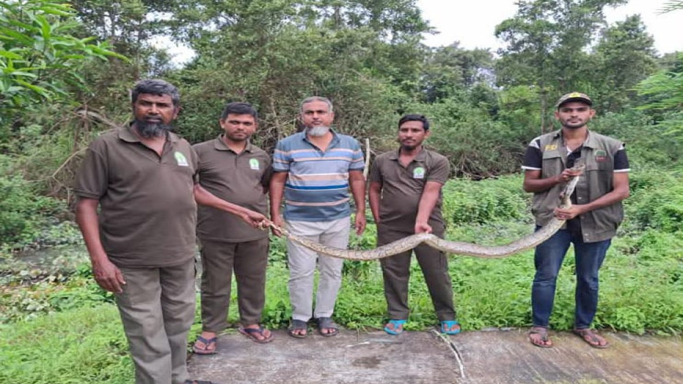 বগী ফরেস্ট স্টেশনের তৎপরতায় নিরাপদে উদ্ধার, স্থানীয়দের সচেতন থাকার আহ্বান