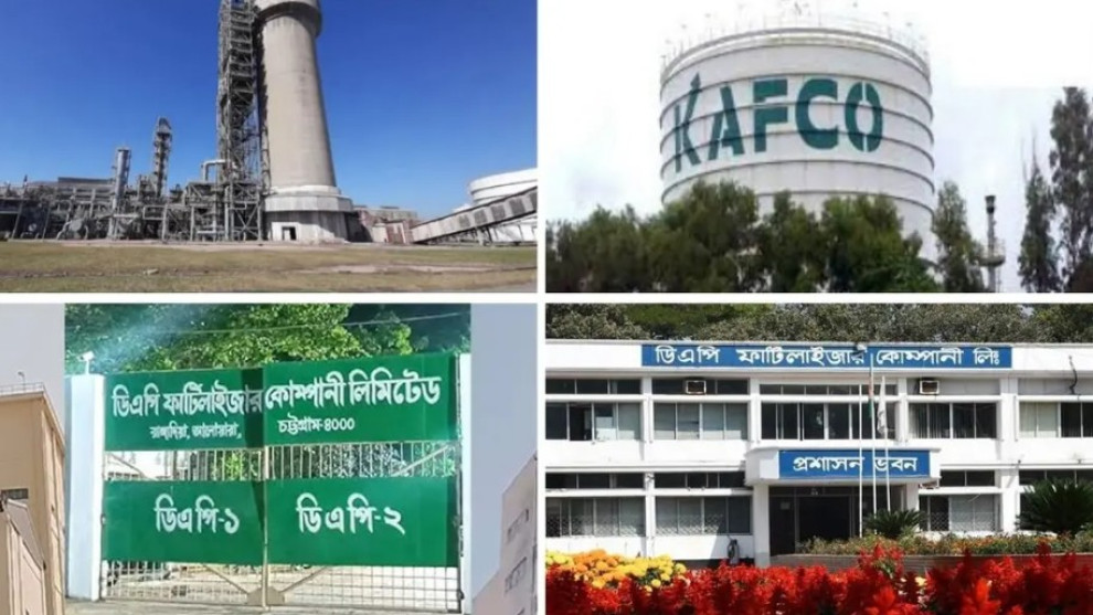 গ্যাস-কাঁচামাল সংকটে থমকে সার উৎপাদন, আমন নিয়ে বাড়ছে দুশ্চিন্তা