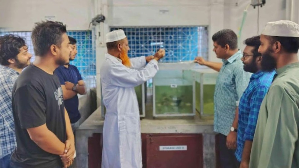 দেশীয় ৫ প্রজাতির মাছে মিলল মাইক্রোপ্লাস্টিক, গবেষকদের সতর্কবার্তা