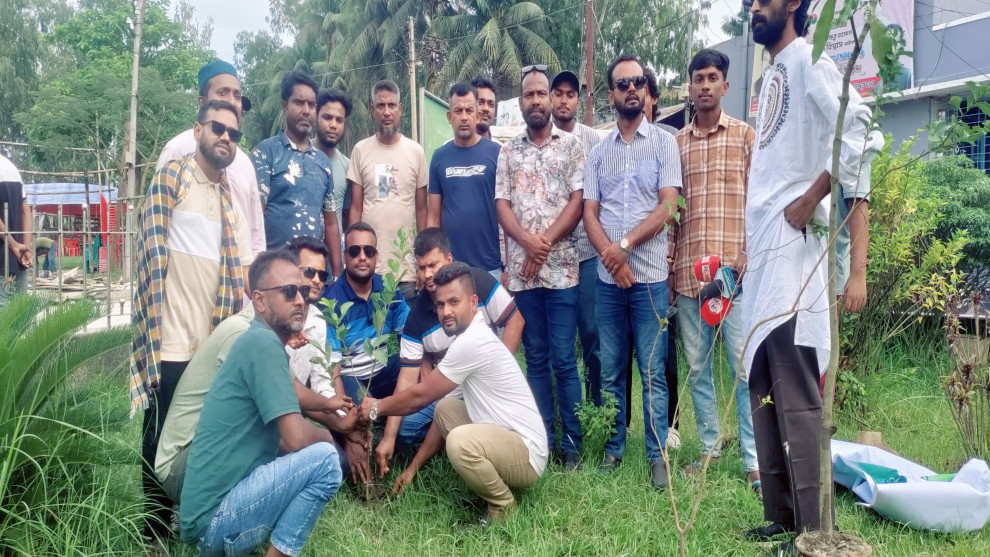 পাবনা পৌর ১৫ নম্বর ওয়ার্ড যুবদলের উদ্যোগে বৃক্ষরোপণ কর্মসূচি