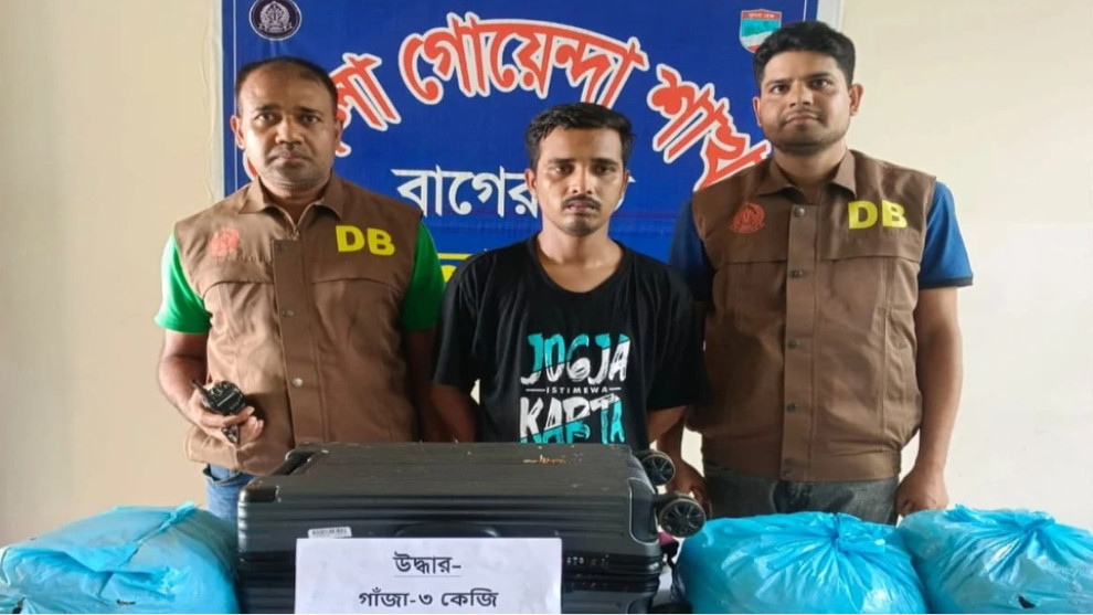 ফুলবাড়ি বেইলি ব্রিজে ৩ কেজি গাঁজাসহ আটক ১