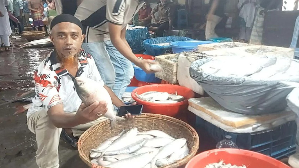 চাঁদপুরে ইলিশের সরবরাহ বাড়লেও দাম কমেনি