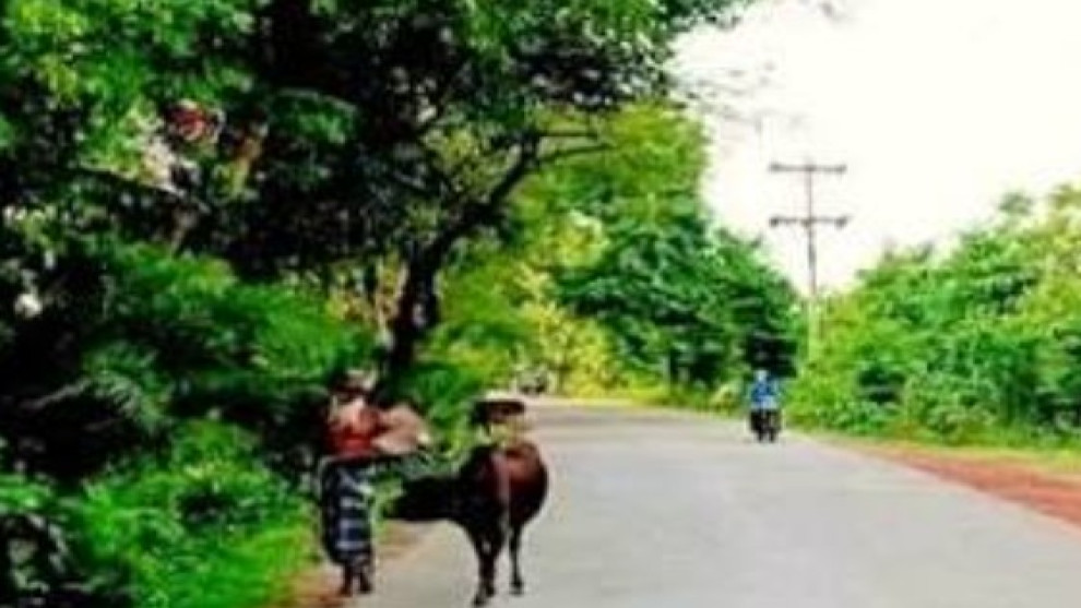 কিশোর গ্যাংয়ের দাপটে ইত্যা গ্রাম, মাদক-সন্ত্রাসের অভিযোগ