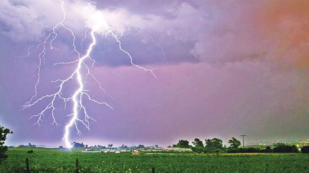 একসঙ্গে মাঠে গিয়ে আর ফেরা হলো না দুই ভাইয়ের