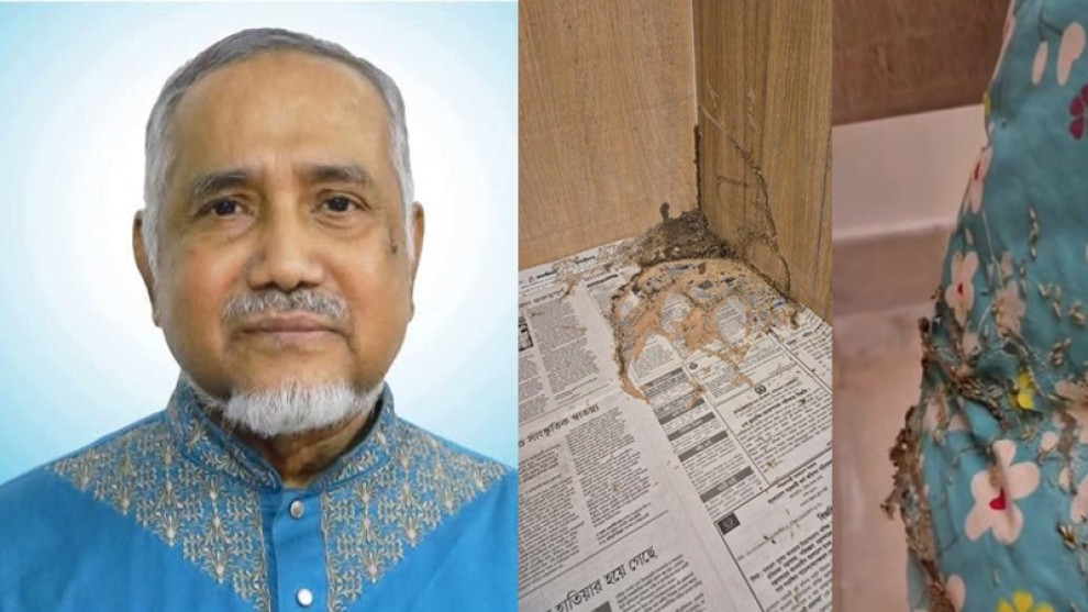 ‘উইপোকার উপদ্রবে’ মধ্যরাতে সার্কিট হাউস ছাড়লেন বিরোধীদলীয় উপনেতা