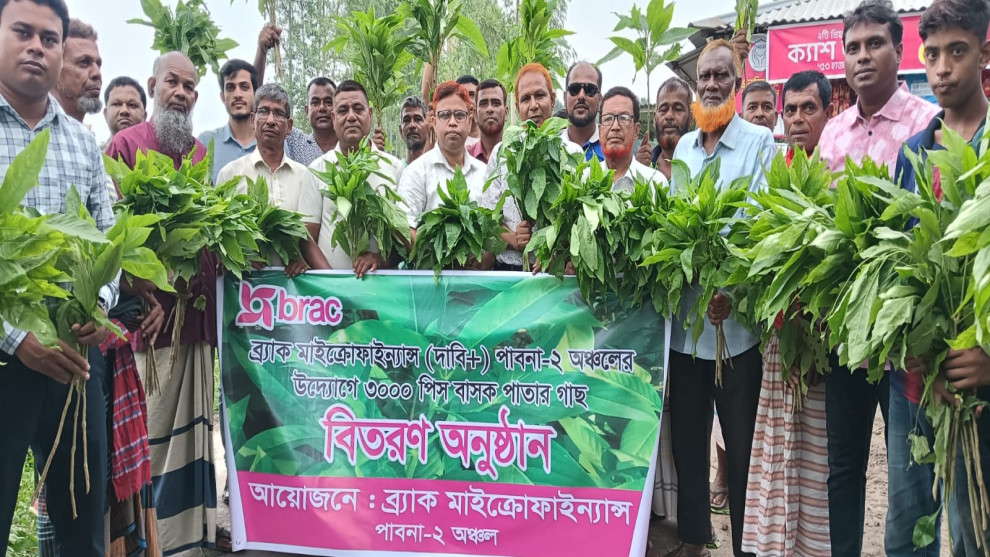 কুচিয়ামোড়ায় ব্র্যাকের সবুজ উদ্যোগ, বিতরণ ও রোপণ ১৫ হাজার বাসক চারা