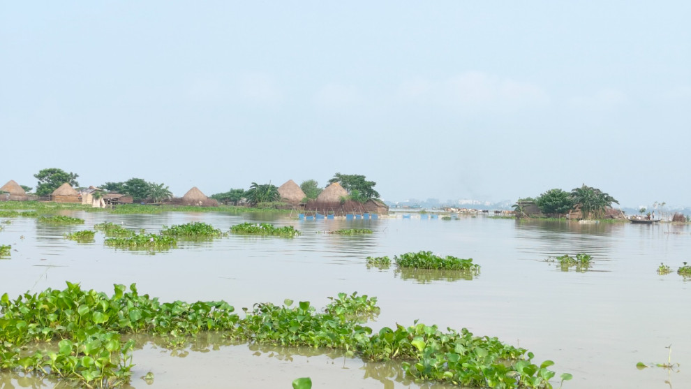 রাজশাহীতে বিপদসীমার কাছাকাছি পদ্মার পানি, প্লাবিত চরাঞ্চল