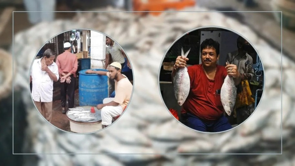 দুর্গাপূজায় ইলিশ চায় ভারত, বাংলাদেশ কি রপ্তানির অনুমতি দেবে?