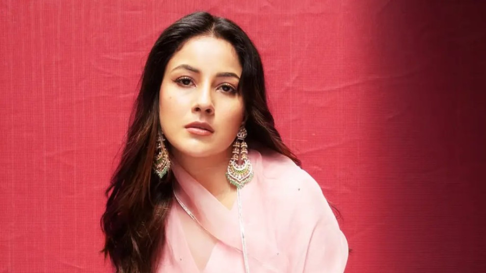 ভক্তের বুকে নিজের ট্যাটু দেখে অবাক শেহনাজ গিল