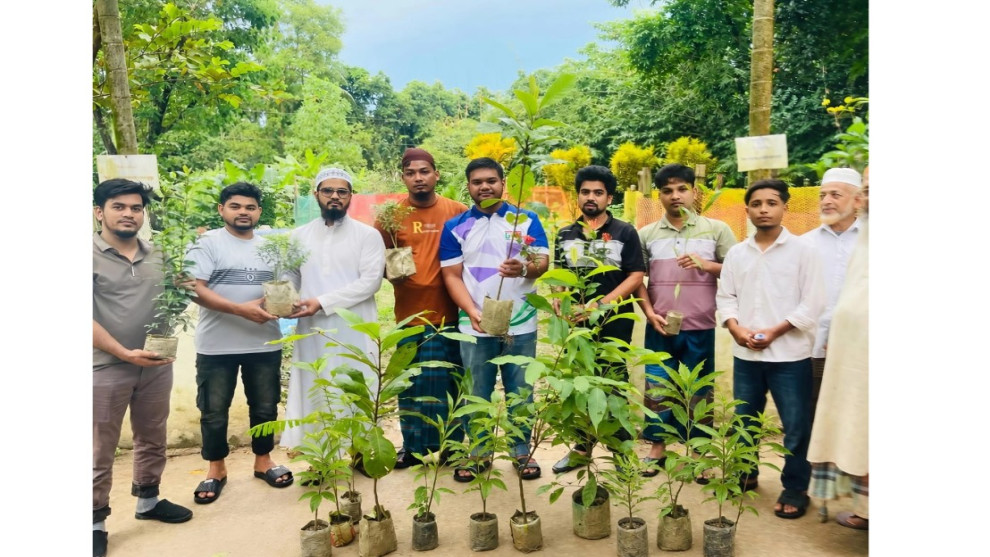 দাগনভূঞায় অগ্রযাত্রা ভলান্টিয়ার সোসাইটির বৃক্ষরোপণ কর্মসূচি