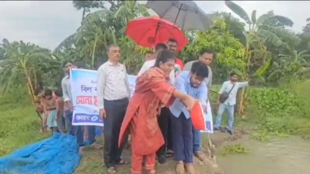 নগরকান্দায় জগদিয়া বালিয়া বিলে পোনা মাছ অবমুক্ত