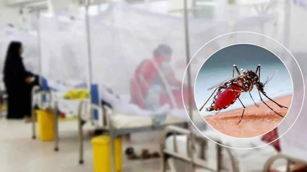 ডেঙ্গুতে আরও ৬ মৃত্যু, হাসপাতালে ভর্তি ২১৫৮