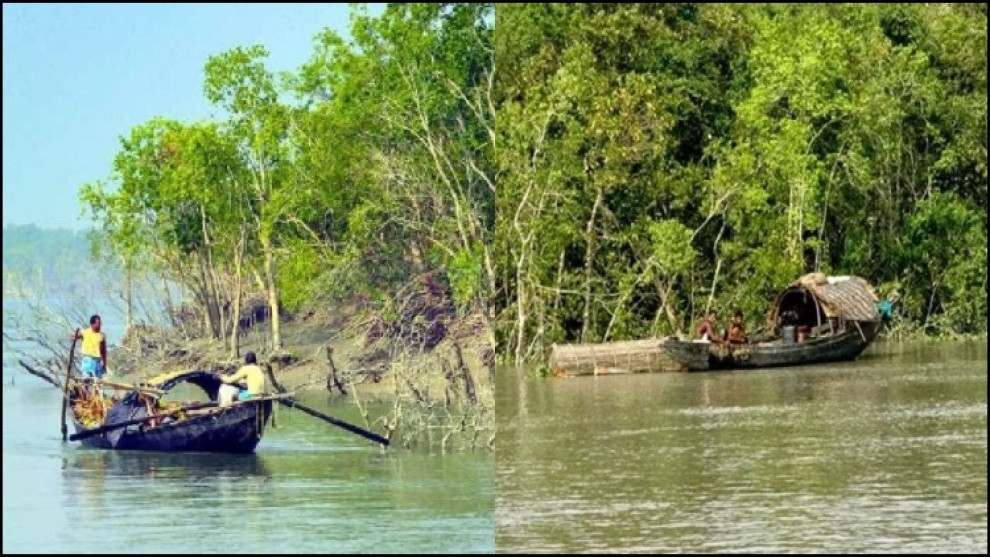 সুন্দরবনে ২১ জেলে নিখোঁজ, দস্যু আতঙ্কে প্রশ্নের মুখে নিরাপত্তা ব্যবস্থা