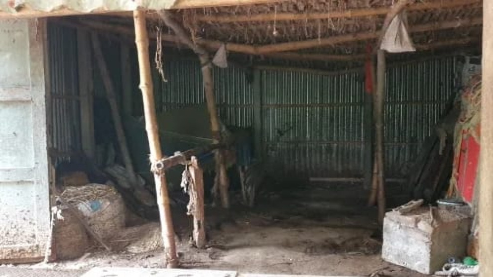 গুরুদাসপুরে এক রাতে ছয় গরু চুরির অভিযোগ, ক্ষতি সাড়ে ৭ লাখ টাকা