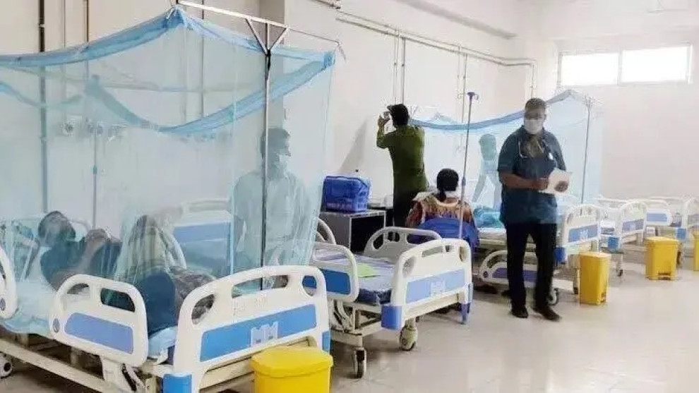 ডেঙ্গুর ভয়াবহতা বাড়ছেই, ২৪ ঘণ্টায় আরও ১০ মৃত্যু