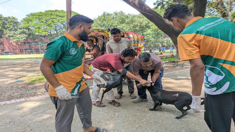 ঢাকা কলেজে বেওয়ারিশ কুকুরকে জলাতঙ্কের টিকা, নিরাপদ ক্যাম্পাস গড়ার উদ্যোগ