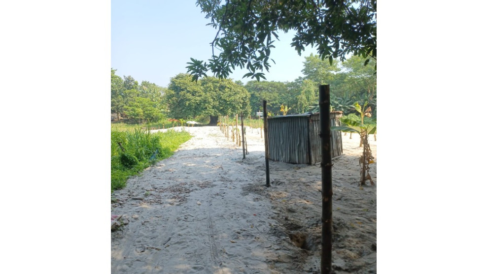কালীগঞ্জে ভূমি কর্মকর্তার নির্দেশ অমান্য করে বিরোধপূর্ণ জমিতে বাঁশের খুঁটি স্থাপনের অভিযোগ