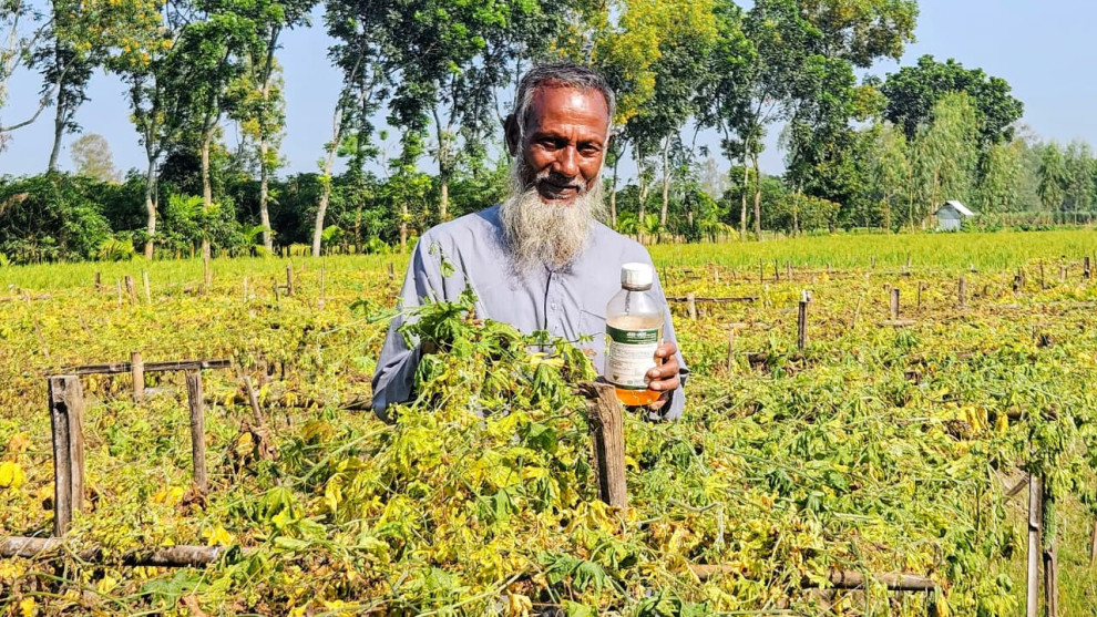পঞ্চগড়ে বালাইনাশক প্রয়োগে করলাক্ষেত নষ্টের অভিযোগ, ক্ষতিপূরণ দাবি কৃষকের