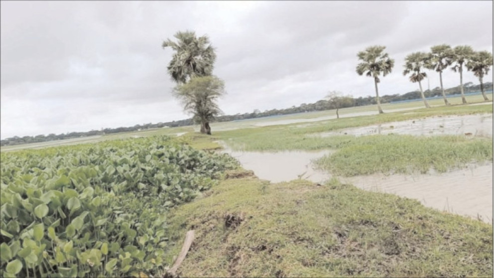 পচাকোড়ালিয়ায় খালে জাল পেতে পানিপ্রবাহে বাধার অভিযোগ, সাঁকোর স্থলে ব্রিজ নির্মাণের দাবি