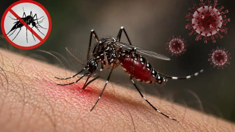 ডেঙ্গুতে আরও ৫ জনের মৃত্যু, হাসপাতালে ভর্তি ২ হাজার ২১৮