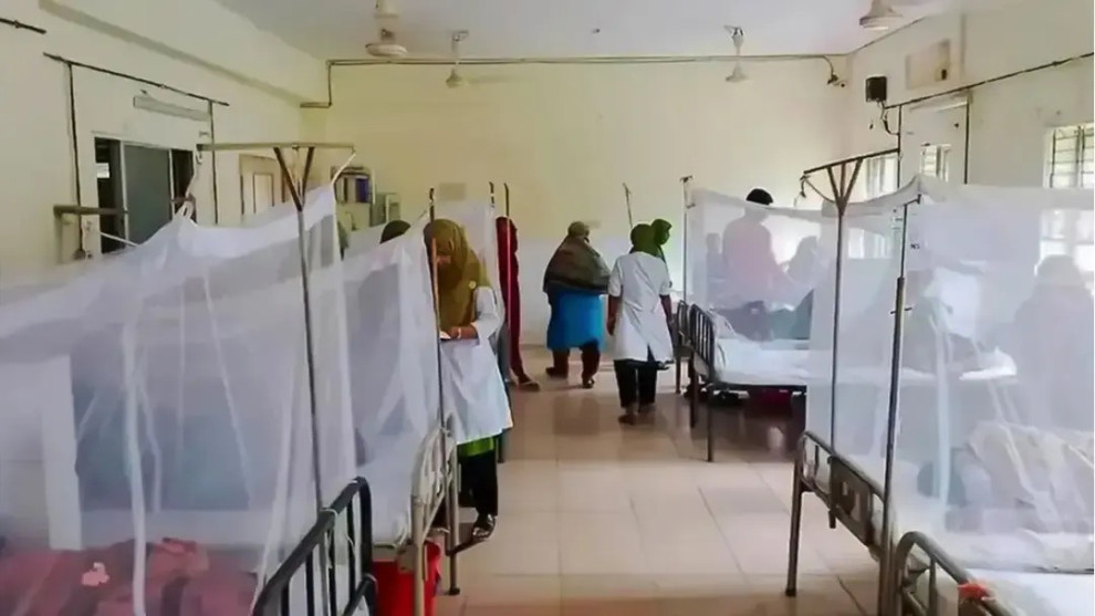 দেশে ২৪ ঘণ্টায় ডেঙ্গুতে আরও ৯ জনের মৃত্যু